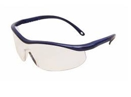 [0402] ANTEOJO SPY FLEX DUAL AF